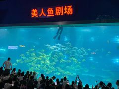 -福州罗源湾海洋世界旅游区