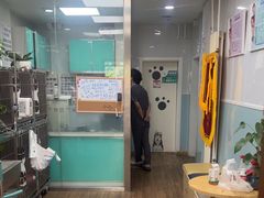 -中农大我爱我爱24h动物医院·中医针灸·猫专科·骨科医疗中心(双井店)