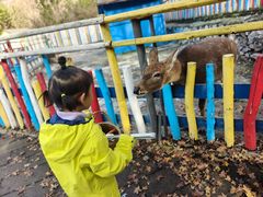 -西部长青自然儿童乐园