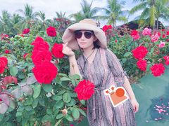 -亚龙湾国际玫瑰谷