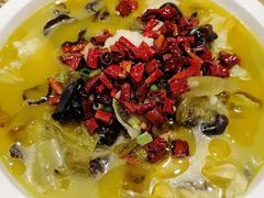 老坛酸菜鱼-鱼你在一起(南开天佑城店)