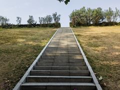 -番禺大夫山森林公园