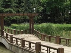 -上海滨江森林公园