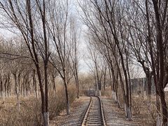 -西青郊野公园