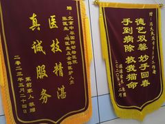 -中农国际动物医院24小时·猫科·骨科·急重症中心