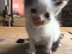 -五月木作·DIY木作文创体验店(北京路店)