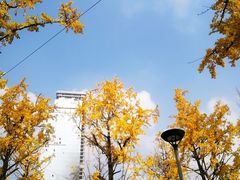 -两江幸福广场