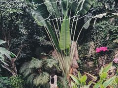 -郑州植物园