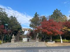 -茅山东方盐湖城景区