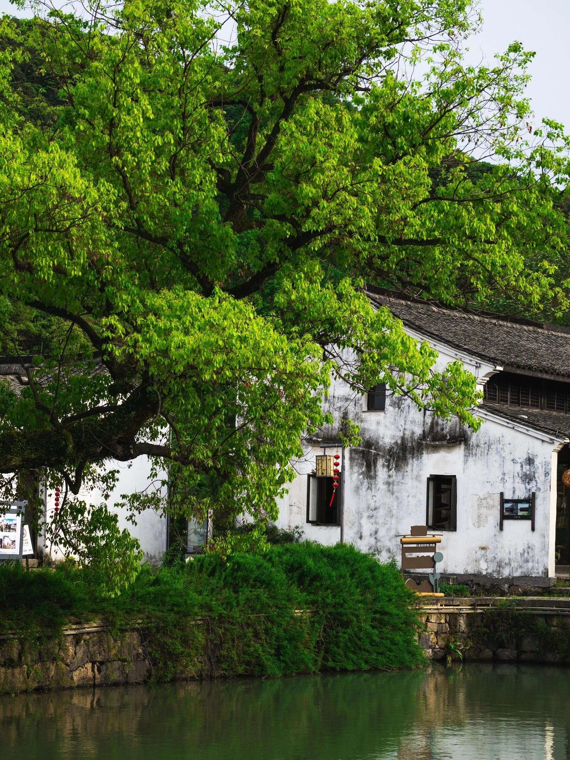 杭州还藏着一个小众没人的古镇7215萧山欢潭村