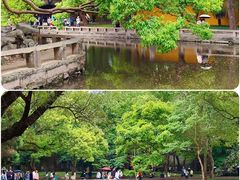 -西园戒幢律寺