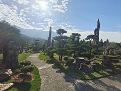 -深圳仙湖植物园