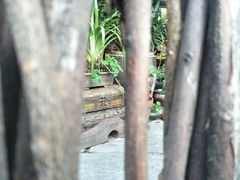 -黄埔古港