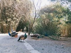 -宁波野生动物园