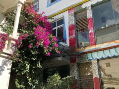 餐厅环境-尼玛藏家风味园(阿山食城店)