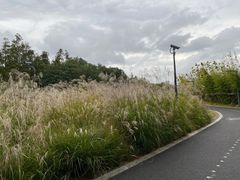 -上海山野camping·户外天幕烧烤·团建拓展营地