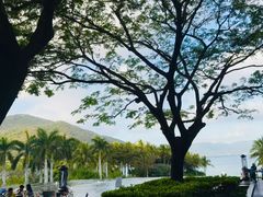 -三亚太阳湾柏悦酒店