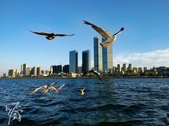 -东港音乐喷泉广场