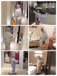 -奥斯芬欧系贵族SPA
