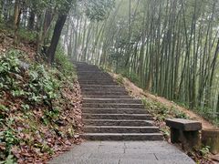 -西湖风景区十里琅珰-五云山