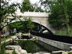 -白水寺森林公园