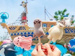 -上海海昌海洋公园