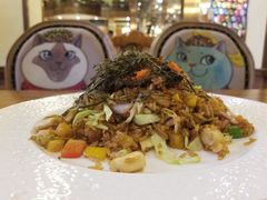 -more than meow吴止猫主题餐厅(承德 中船汇店)