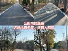 -上海山野camping·户外天幕烧烤·团建拓展营地