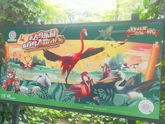 -广州长隆飞鸟乐园