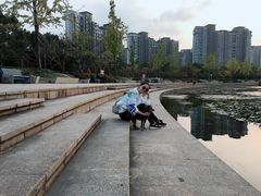 -新江湾城公园