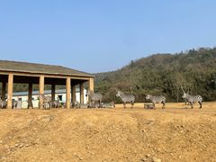 -杭州野生动物世界