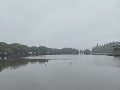 -西湖游船