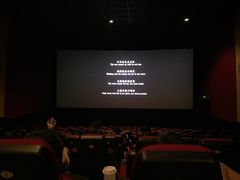 -AMG海上明珠影城(上海环球港RealDCinema店)