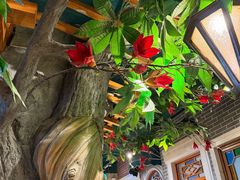 -老广酒楼(樱花店)