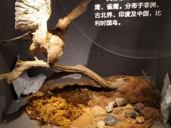 -长江文明馆