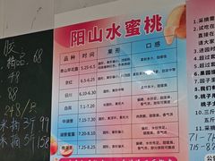 -老袁家蜜桃农场·阳山水蜜桃