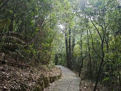 -增城大丰门漂流