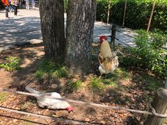 -热田神宫