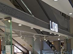 -LOHO眼镜(北京朝北大悦城店)