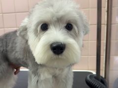 -FAELING PETS美天灵宠物(富力广场店)