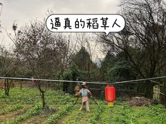 -海窝子古镇
