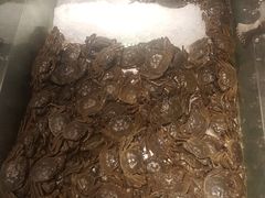 -欢乐牧场海鲜烤肉自助(牡丹园店)