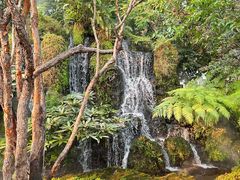 -Chom Cafe and Restaurant