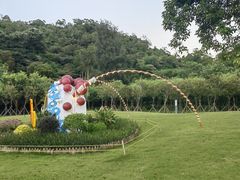 -野狸岛