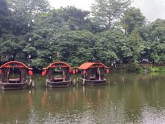 -侨美·唐荔园·40年地道粤菜