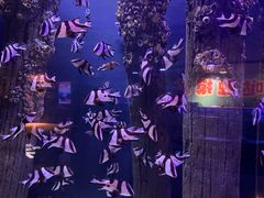 -成都浩海立方海洋公园