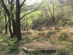 -白河湾生态旅游一条川