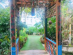 -呀路古热带植物园