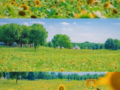 -苏州东太湖生态园