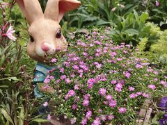 -人民公园(罗湖区)